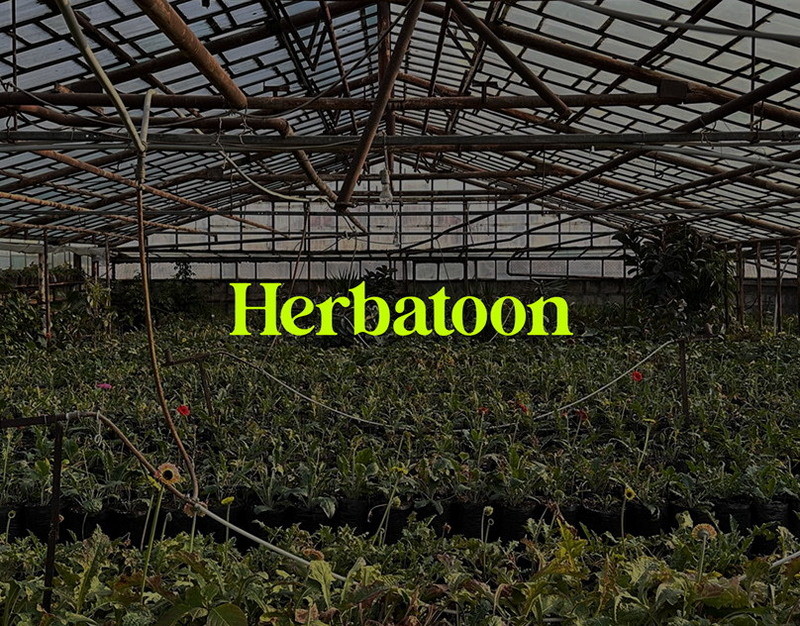 Побывала в Кремлевской столовой и проверила всё на себе: от интерьера до вкуса котлет, от ценника до атмосферы - могу развеять все мифы