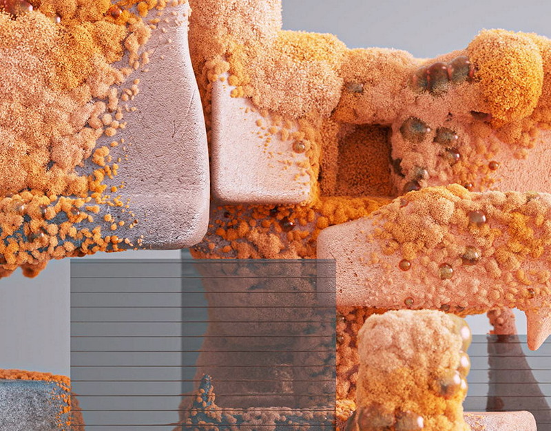 Зачем правоохранителям нужны были лапти